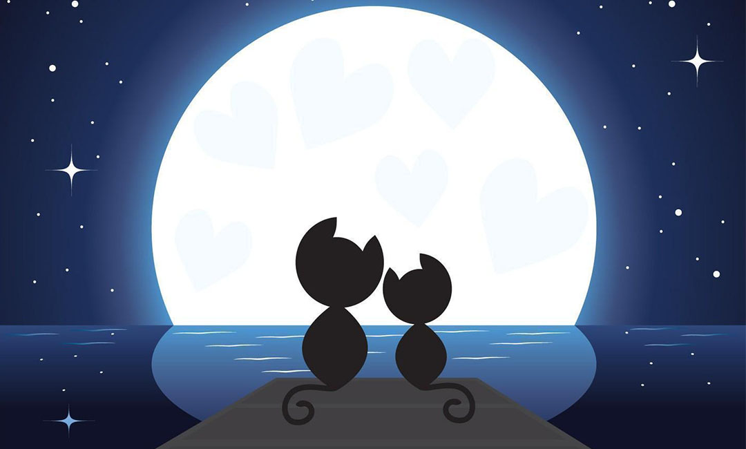 怀化潮客汇微信活动策划案例