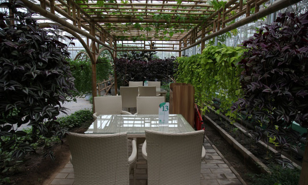 怀化康柏宇品牌文案撰写案例